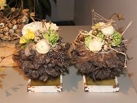 IMG 1865