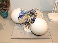 IMG 1947